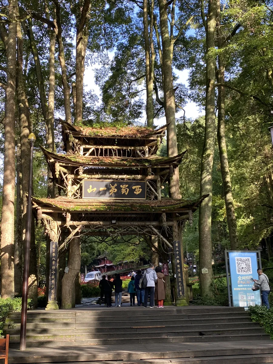 A rustic timber-and-moss gateway on Qingcheng Mountain near Chengdu, set among tall forest trees with visitors climbing the steps below.